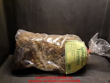 Sphagnum Moss- Sphagnum Yosunu