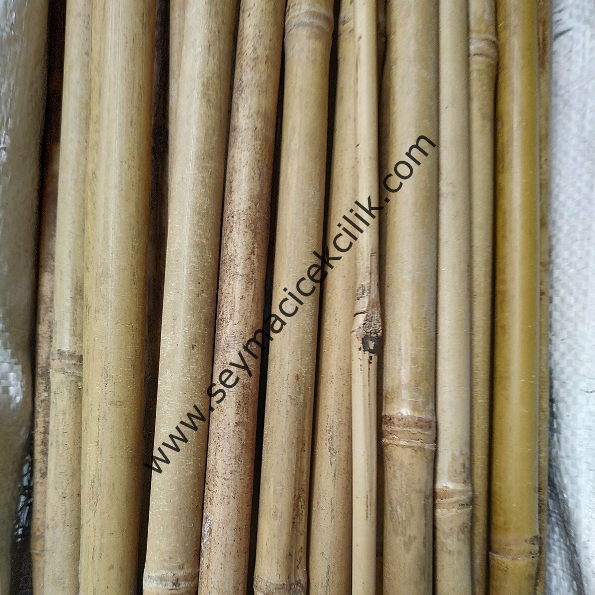 Bambu Çubuk- 300 cm / 120-140mm -- 1 Adet