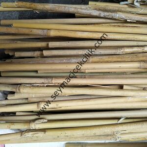 Bambu Çubuk- 300 cm / 120-140mm -- 1 Adet