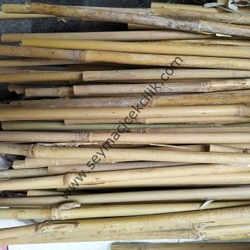 Bambu Çubuk- 295cm / 50-60mm Mosso Bambu -- 1 Adet
