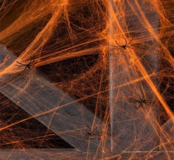 Turuncu Renk Örümcek Ağı Cadılar Bayramı