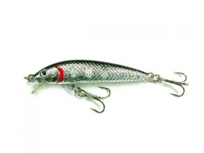 BARRACUDA MAKET BALIK 50MM-C15