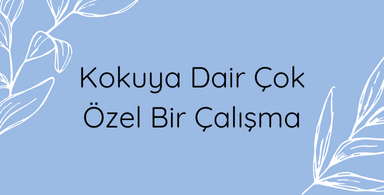 Güzel Koku ve İnsan