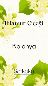 Ihlamur Kolonyası