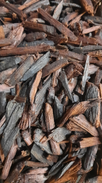Doğal Oud Ağacı Tütsüsü