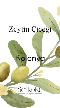 Zeytin Çiçeği Kolonyası