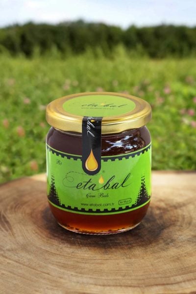 ETABAL Ham Çam Balı 500 gr. (B1-500)