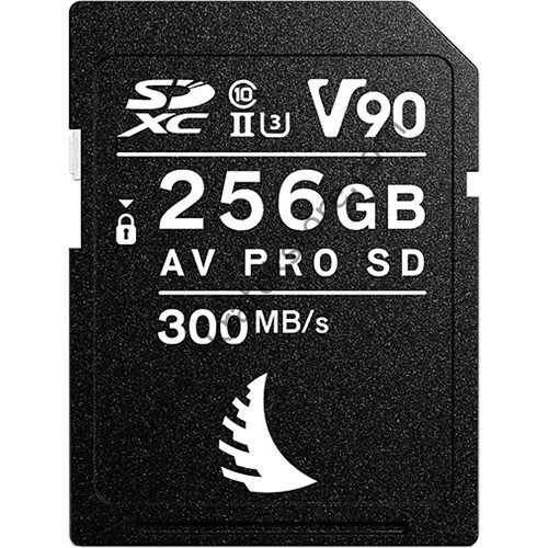 AVP256SDMK2V90  256GB V90