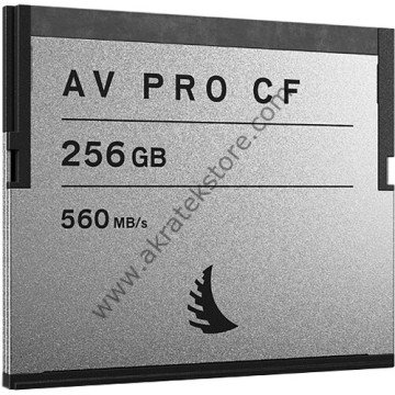 AVP256CF AVpro CF 256 GB