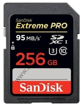 Sandisk 256GB SD KART