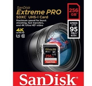 Sandisk 256GB SD KART
