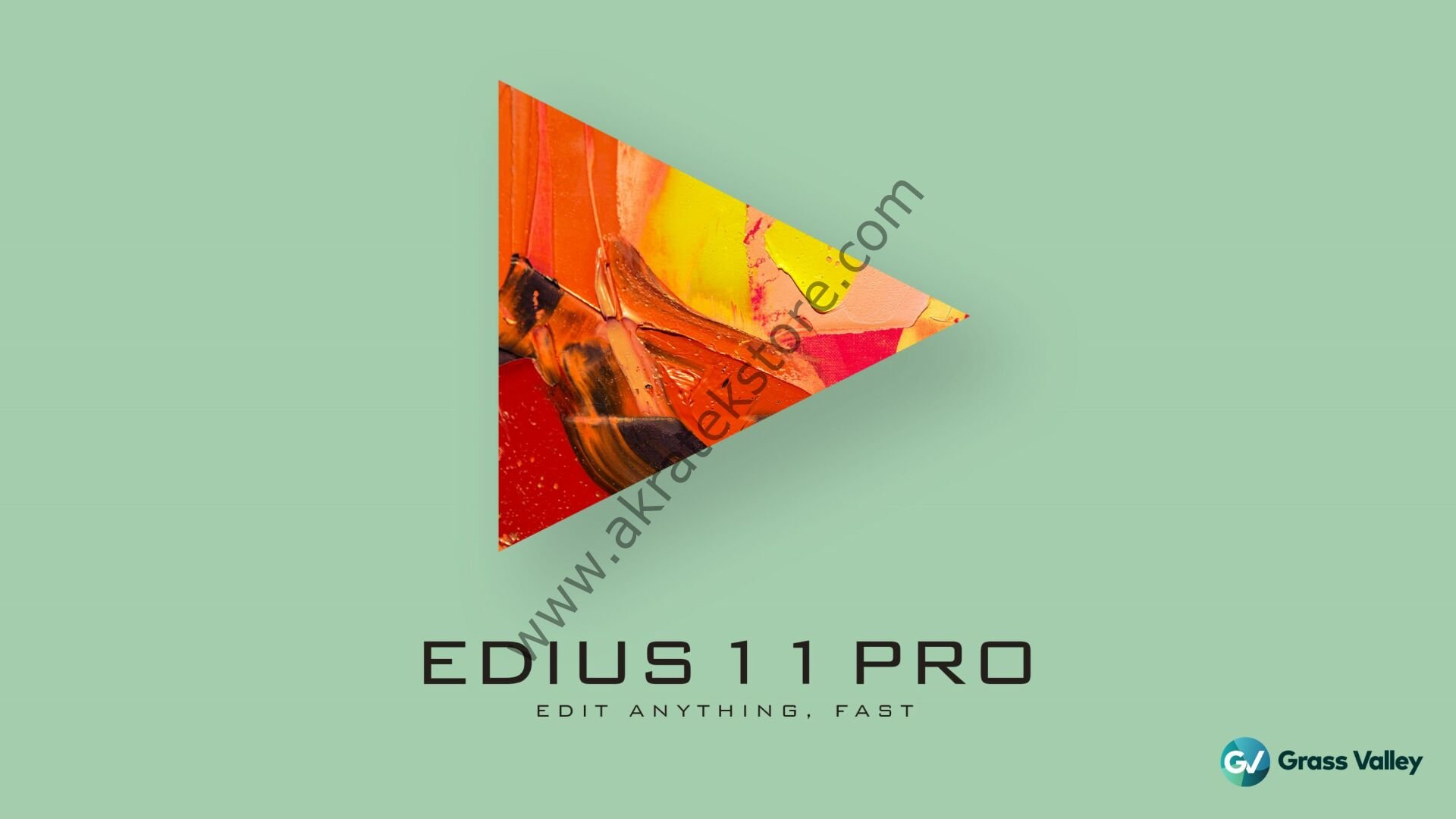 EDIUS 11 Pro