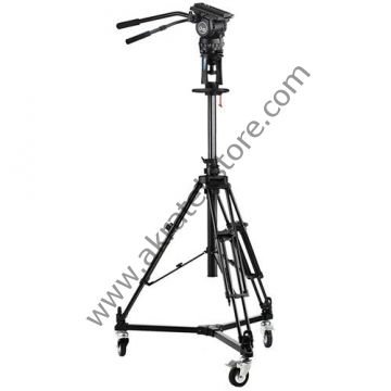 Acebil D-7