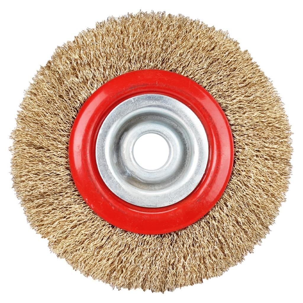 LEO Dairesel Tel Fırça Çelik Telli 250x25mm