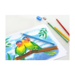 Faber-Castell Kuru Boya Kalemi 48'li + Kalemtıraş