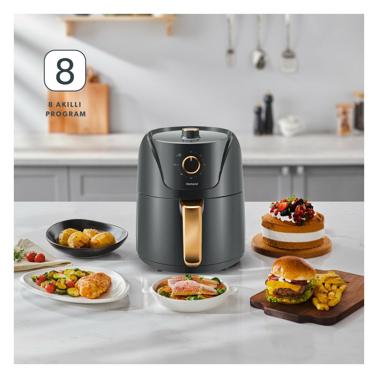 Homend Airfryday 2505H 8 Farklı Programlı, 4,3 Litre Airfryer