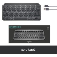 Logitech Mx Keys Mini Minimalist Kablosuz Aydınlatmalı Türkçe