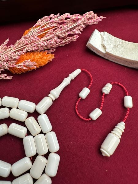 Kapsül Model Mors Dişi Özü Tesbih