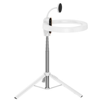Ulanzi 10 inç MagSafe Uyumlu Ring Light