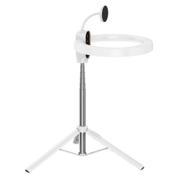 Ulanzi 10 inç MagSafe Uyumlu Ring Light