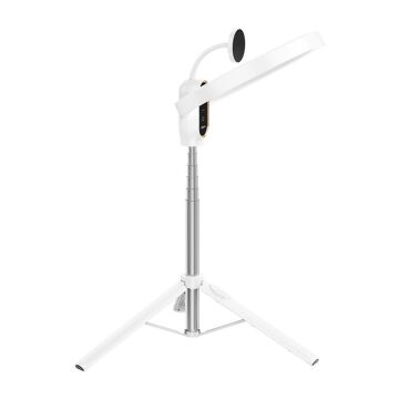 Ulanzi 10 inç MagSafe Uyumlu Ring Light
