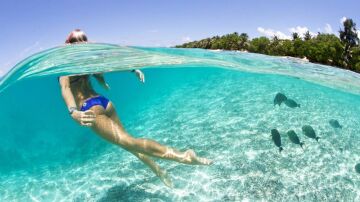 Gopro Hero 7 Black Su Altı Dome Port