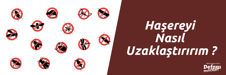 Haşereyi Nasıl Uzaklaştırırım ?