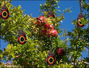 Repel Kuş Korkutucu Göz - Bird Eye - 4'lü Takım