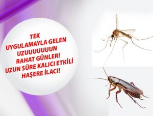 Titan Max SC Kaloriferböceği İlacı 50 Ml