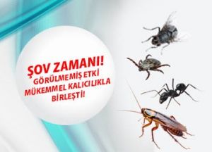 Kokulu Hamam Böceği Zehiri Zinon Emülsiyon 100 Ml