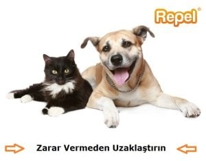 Kedi Köpek Hayvan Kovucu Pro Evolution Ultrasonik Cihaz