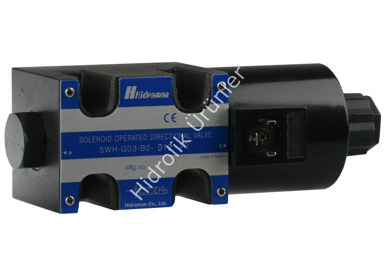 NG10 Tek Bobin 12V DC Valf (SWH-G03-B2)