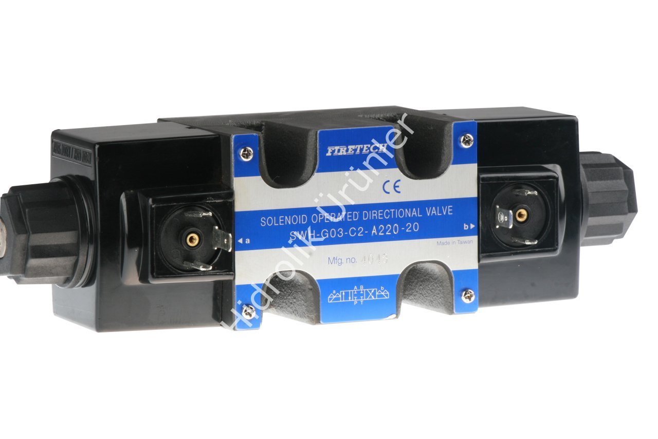NG10 Kapalı Merkez 220V AC Valf (SWH-G03-C2)