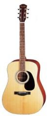 D 10 (Dreadnought) Farida Akustik Gitar