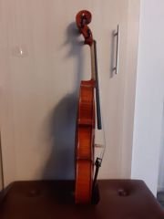 Primo 15'' Viyola IVA-2