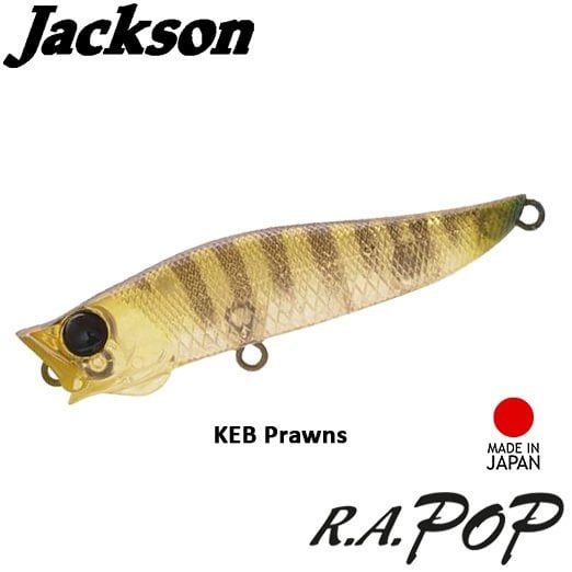 Jackson ''R.A. POP'' 7cm 7gr KEB