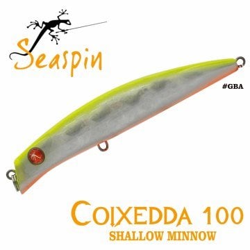 Seaspin Coıxedda 100 100 mm 16 gr GBA
