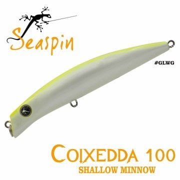 Seaspin Coıxedda 100 100 mm 16 gr GLWG