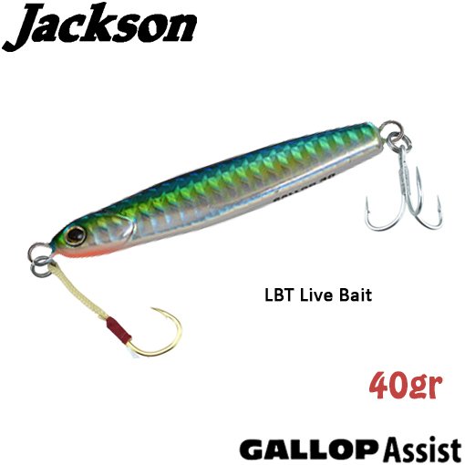 Jackson Gallop ASSIST 40gr LBT