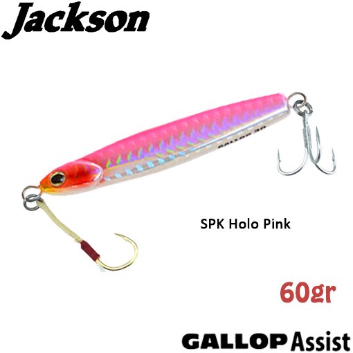 Jackson Gallop ASSIST 60gr SPK