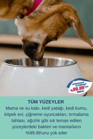 Çiş Koku Alerji Giderici Dezenfektan Etkili Kedi Kumu Köpek Evi Günlük Yüzey Temizleyici Sprey Seti