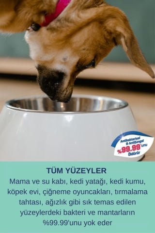 Antialerjik Kedi Tuvaleti Koku Giderici Köpek Oyuncak Ekipman Yüzey Temizleyici Ekonomik Hijyen Seti