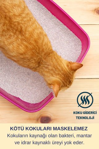 Günlük Antibakteriyel Kedi Koku Giderici Evi Yatağı Oyuncağı Mama Kabı Kedi Alerji Spreyi Hijyen Set