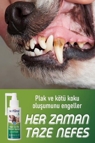 Günlük Kedi Ağız Kokusu Giderici Diş Eti Yarası Plak Tartar Önleyici Köpek Ağız Kokusu Sprey 3x100ml