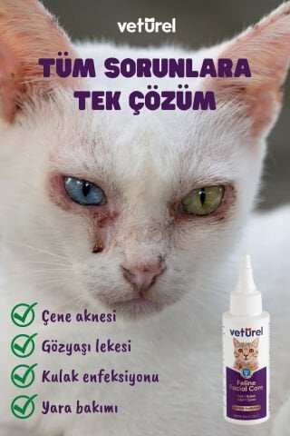 Günlük Kedi Yüz Temizleme Kulak Burun Göz Ağız Çene Aknesi Gözyaşı Lekesi Bakım Spreyi 3x100ml
