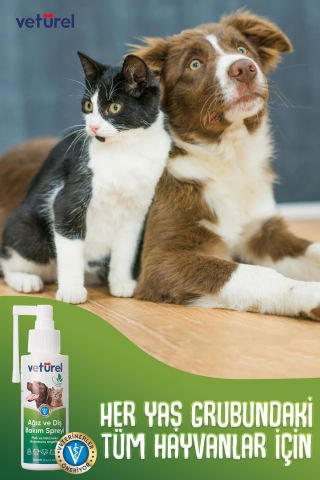 Kedi Ağız Kokusu Giderici Diş Eti Yarası Plak Tartar Önleyici Köpek Ağız Kokusu Günlük Sprey 2x100ml
