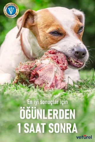 Kedi Ağız Kokusu Giderici Diş Eti Yarası Plak Tartar Önleyici Köpek Ağız Kokusu Günlük Sprey 2x100ml