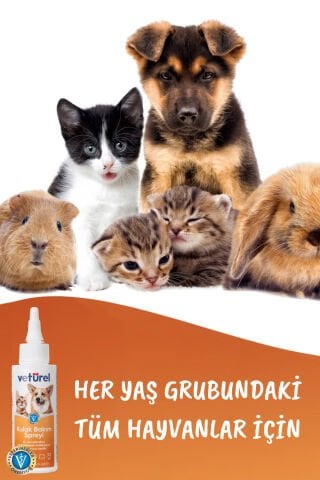 Kedi Kulak Temizleme Damlası Köpek Enfeksiyon Kaşıntı Kedi Kulak Uyuzu Koku Önleyici Bakım 3x100ml