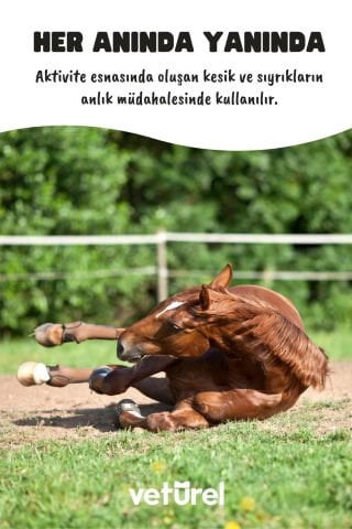 At Yara ve Deri Bakım Eyer Kesik Tırnak Nal Çakımı Enfeksiyon Tımar Sonrası Bakım Spreyi 500ml
