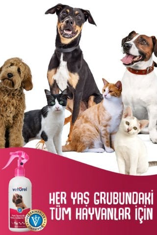 Kedi Tüy Köpek Pati Temizleme Parfümsüz Koku Giderici Kir Enfeksiyon Önleyici Bakım Spreyi 300ml